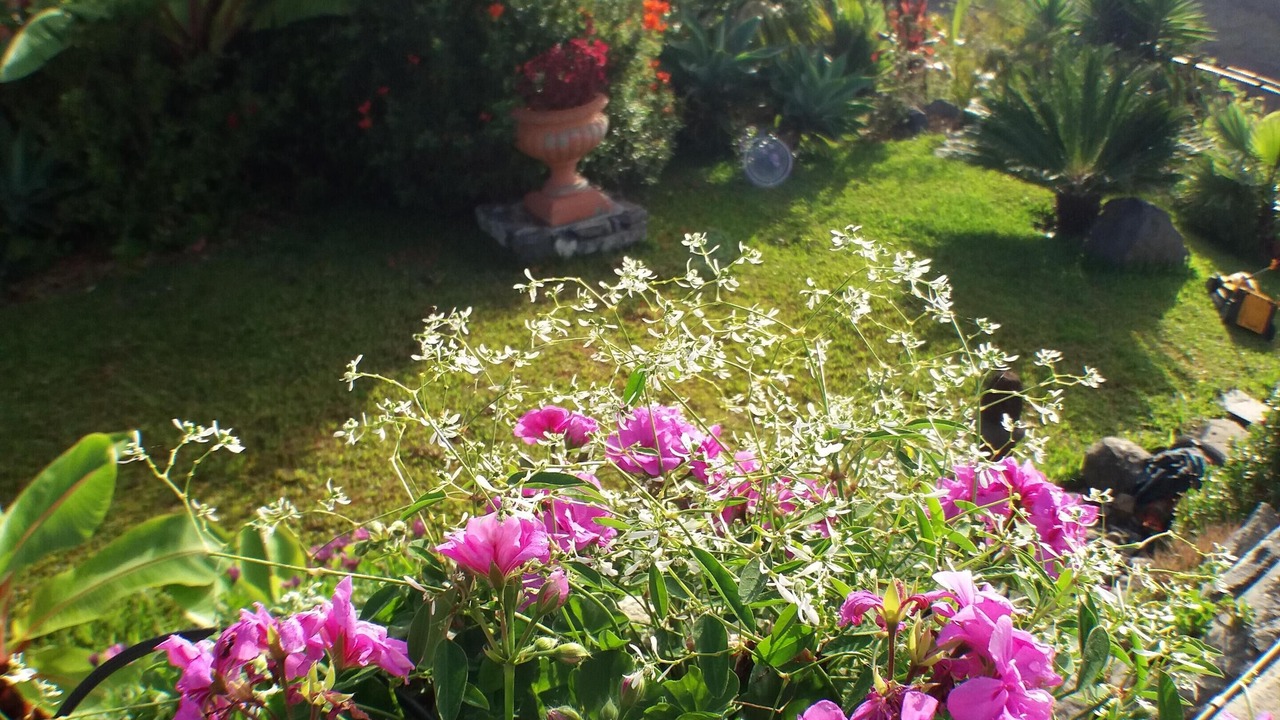 Photo of Outdoor in Estreito da Calheta