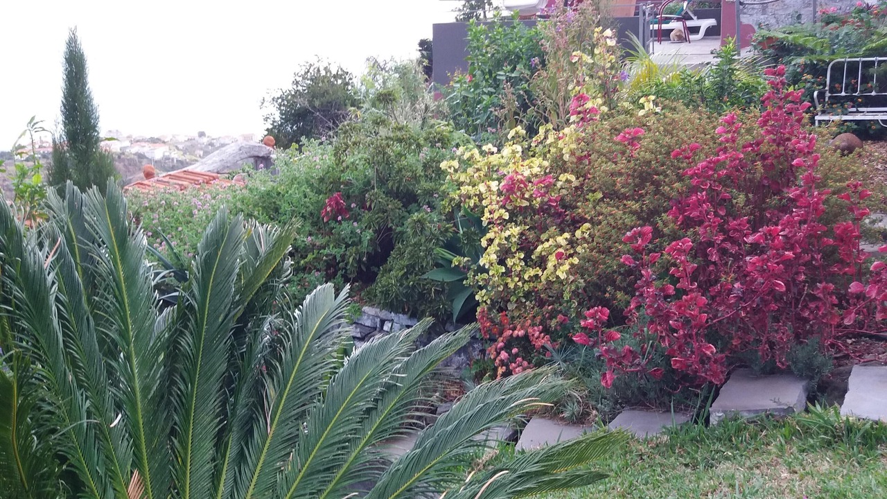Photo of Outdoor in Estreito da Calheta