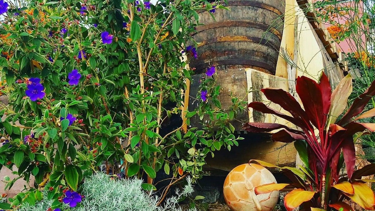 Photo of Outdoor in Estreito da Calheta