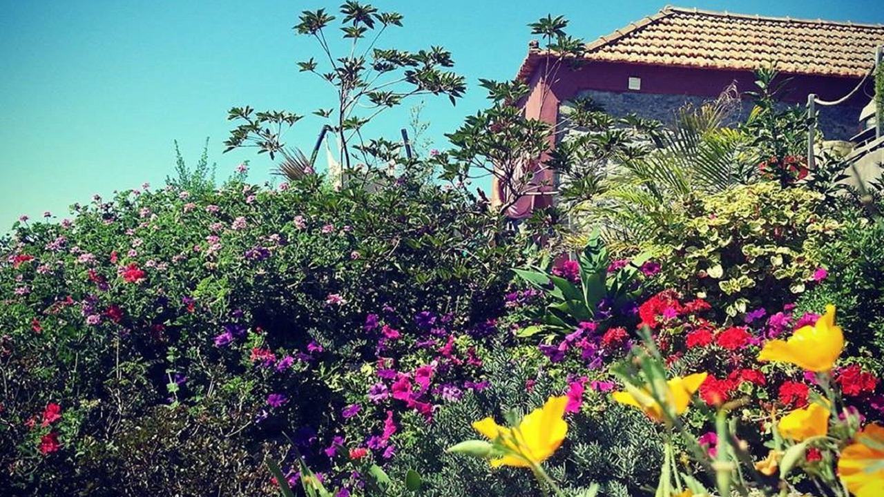 Photo of Outdoor in Estreito da Calheta
