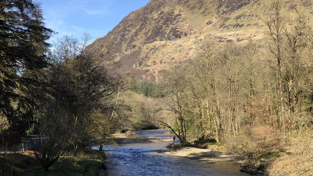 Photo of Others in Rashfield