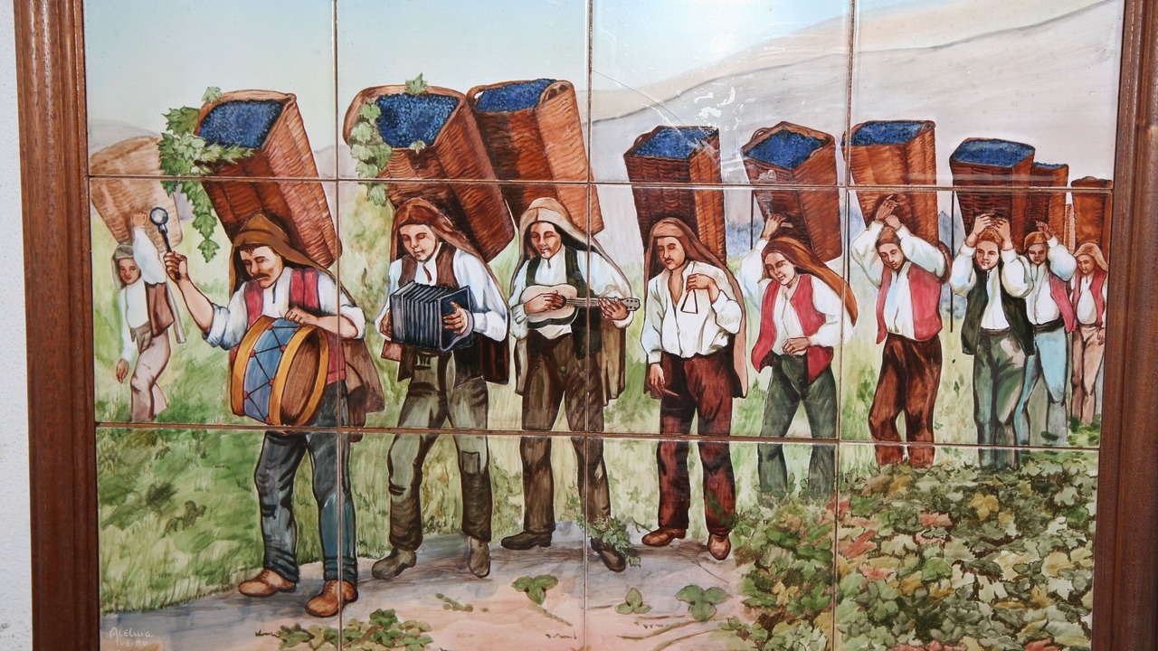 Photo of Others in Santa Marta de Penaguiao