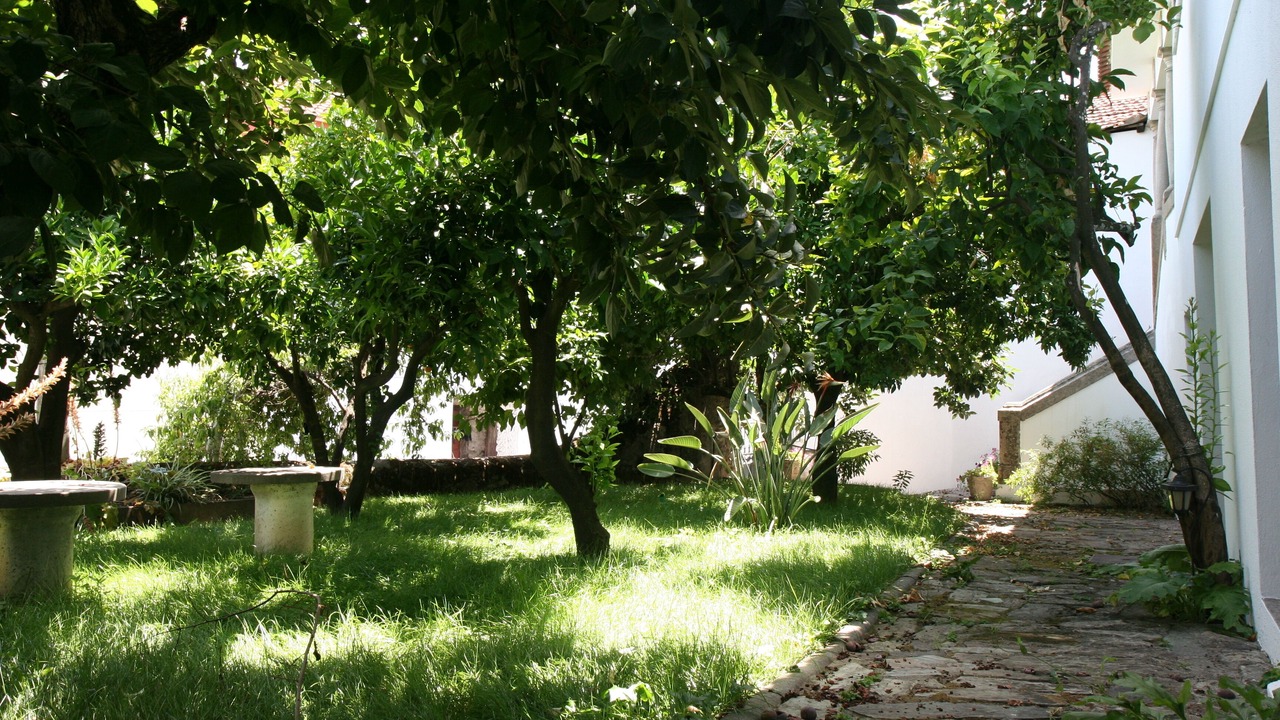 Photo of Outdoor in Santa Marta de Penaguiao