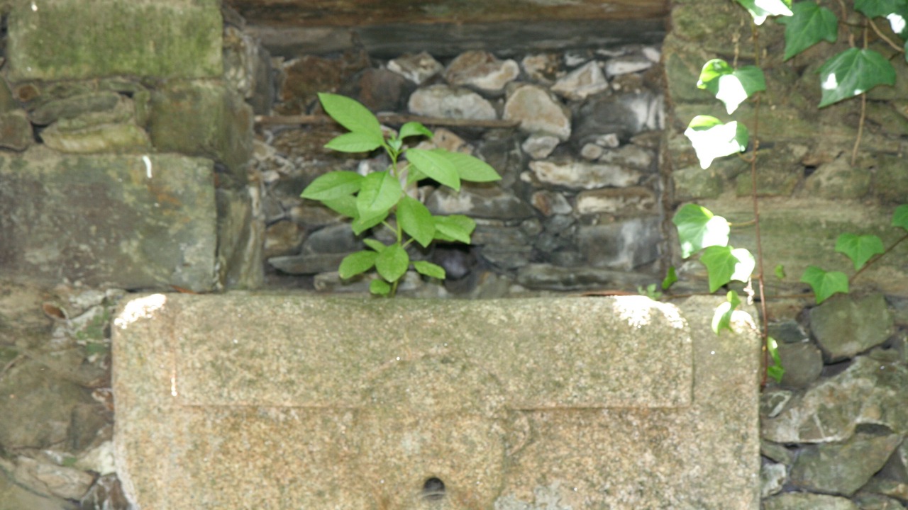 Photo of Outdoor in Santa Marta de Penaguiao
