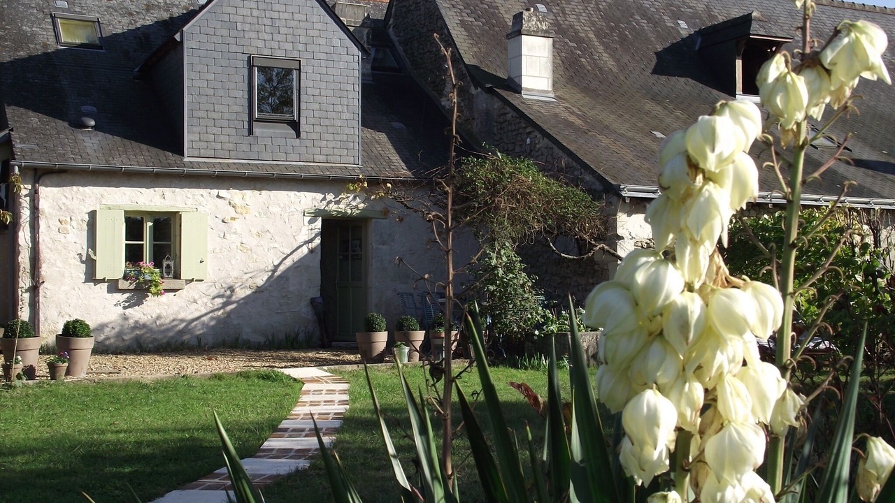 Photo of Outdoor in Cheille