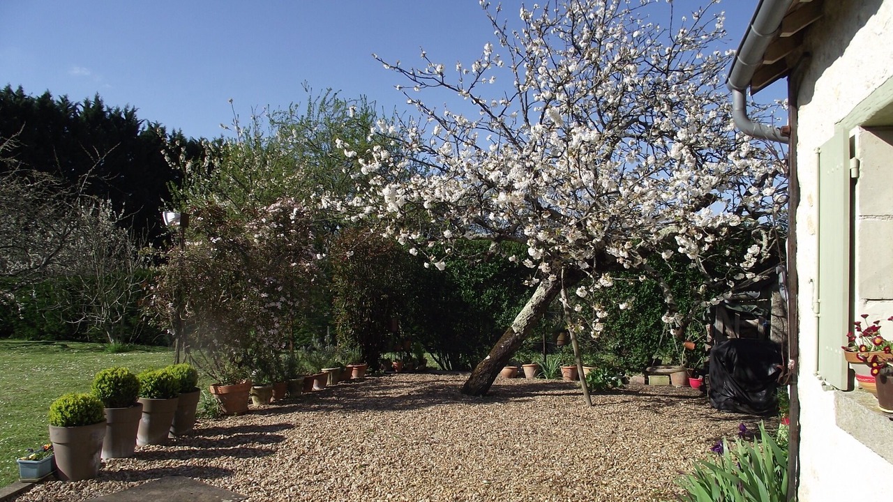 Photo of Outdoor in Cheille