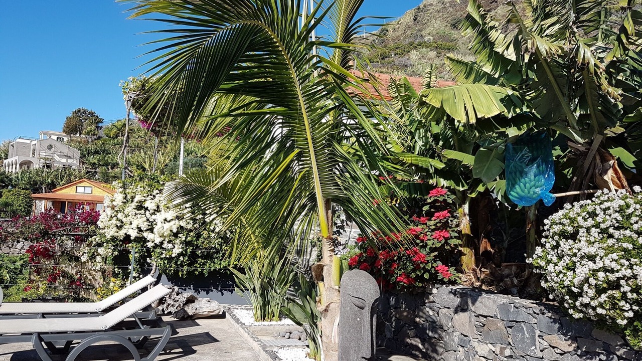 Photo of Patio Balcony in Arco da Calheta