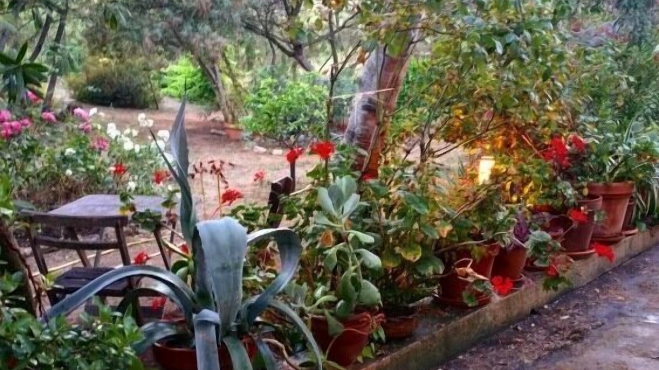 Photo of Outdoor in Calvi
