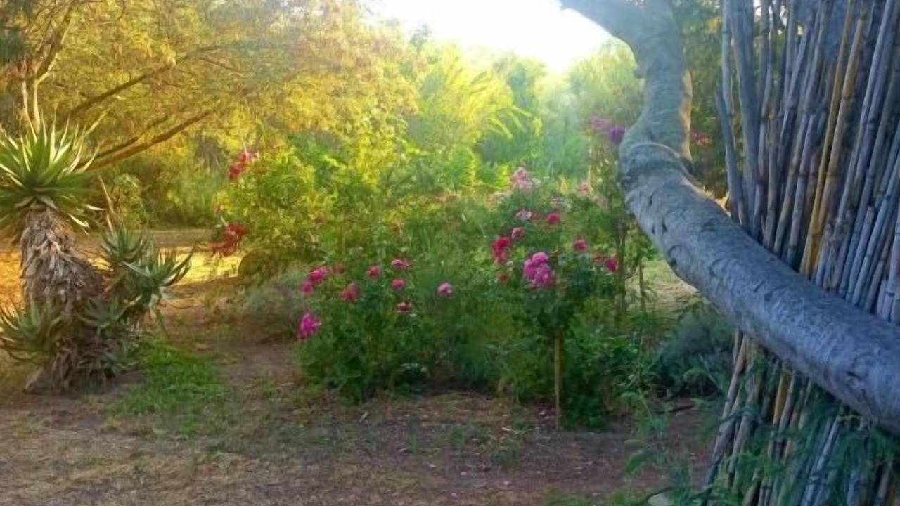 Photo of Outdoor in Calvi