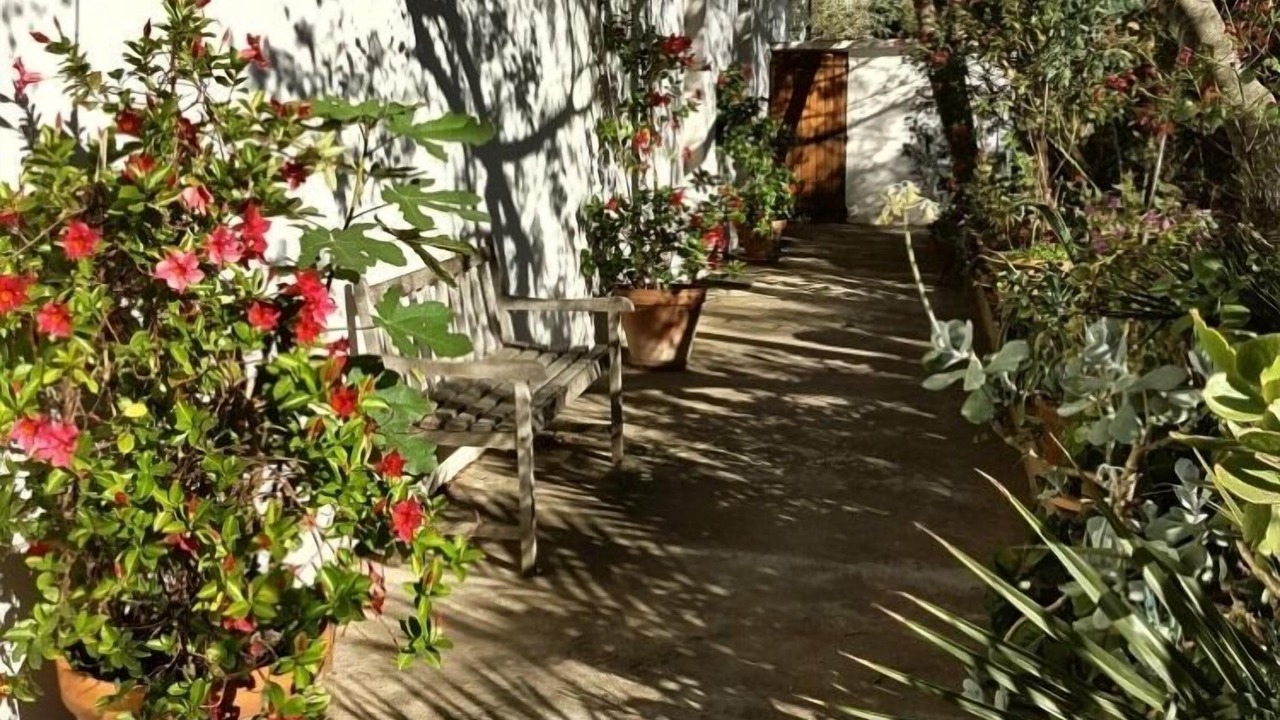 Photo of Outdoor in Calvi