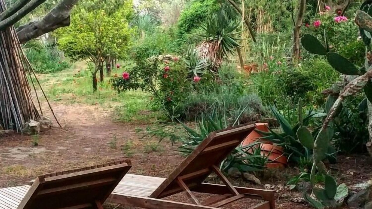 Photo of Outdoor in Calvi