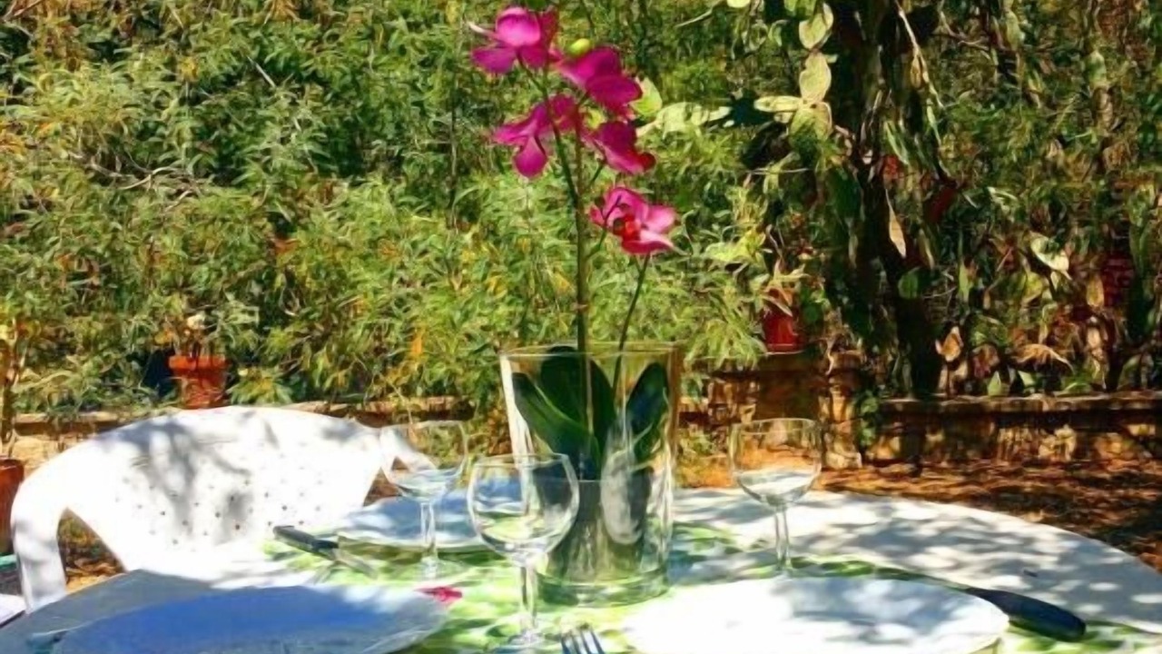Photo of Outdoor in Calvi