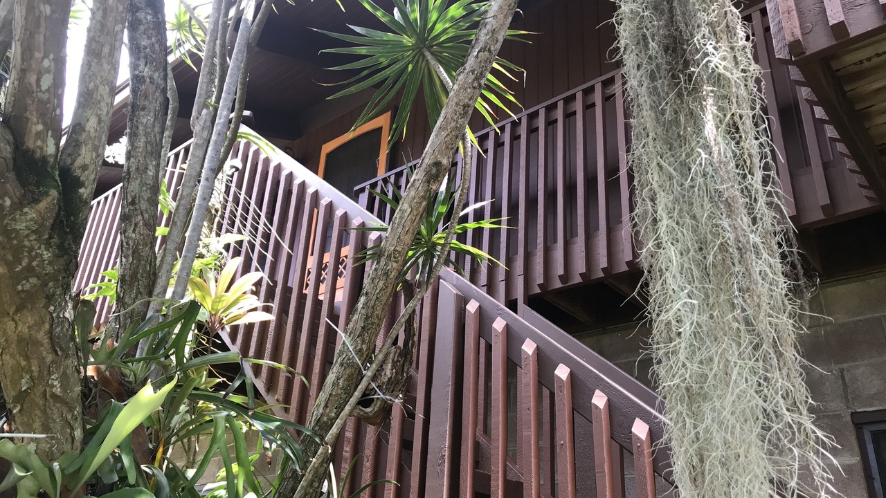 Photo of Outdoor in Pupukea