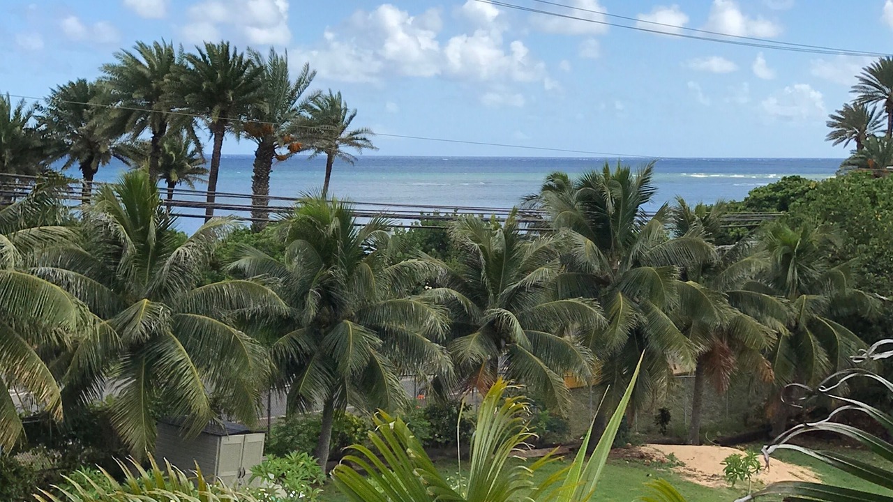 Photo of Outdoor in Pupukea