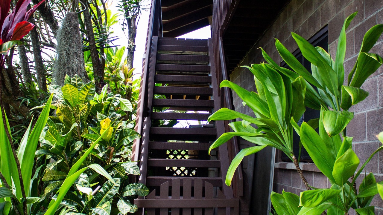 Photo of Outdoor in Pupukea