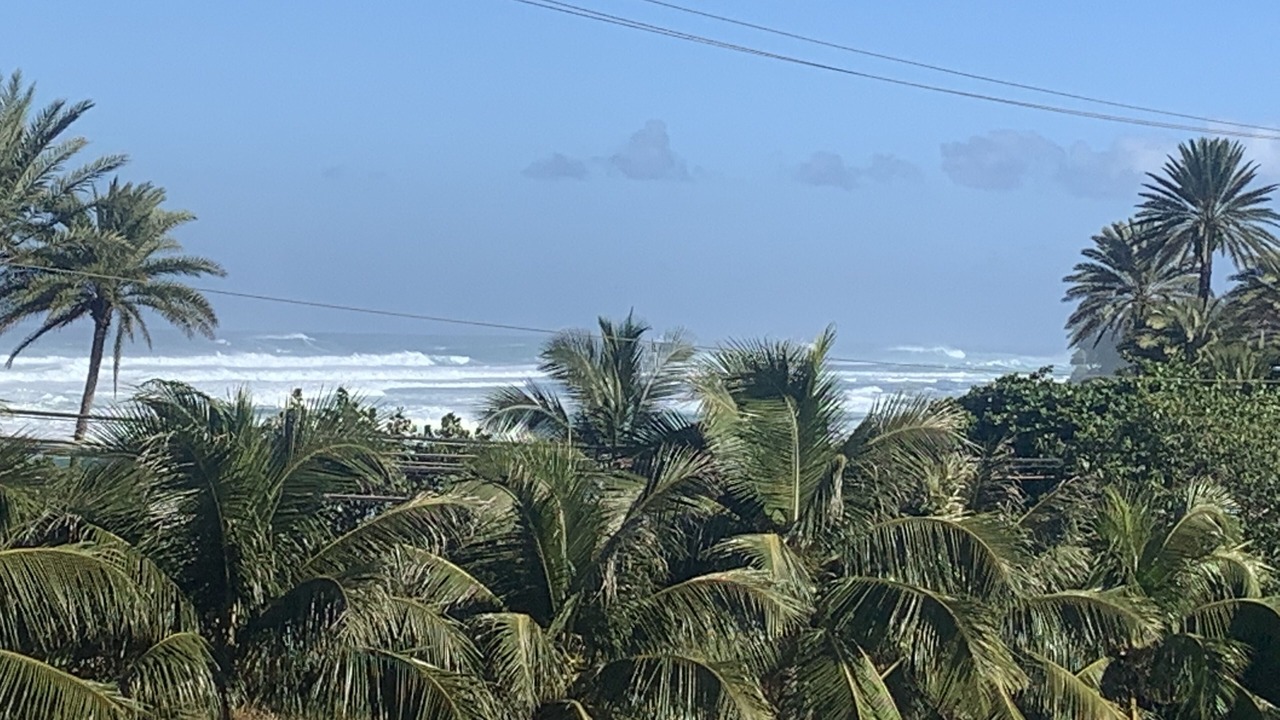 Photo of Outdoor in Pupukea