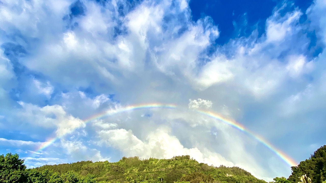 Photo of Others in Pupukea
