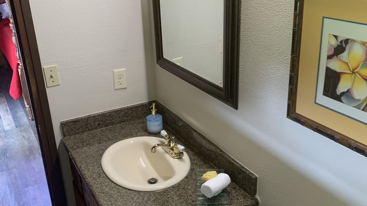 Photo of Bathroom in Pupukea