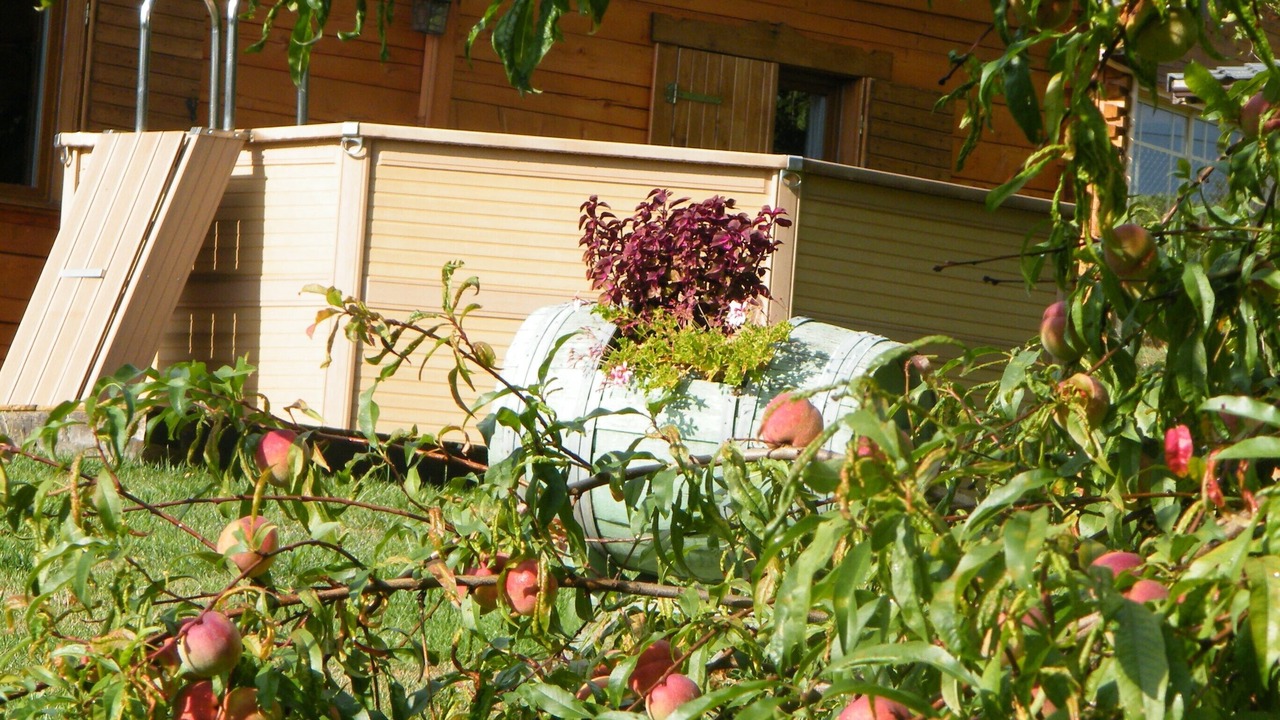 Photo of Outdoor in Saissac