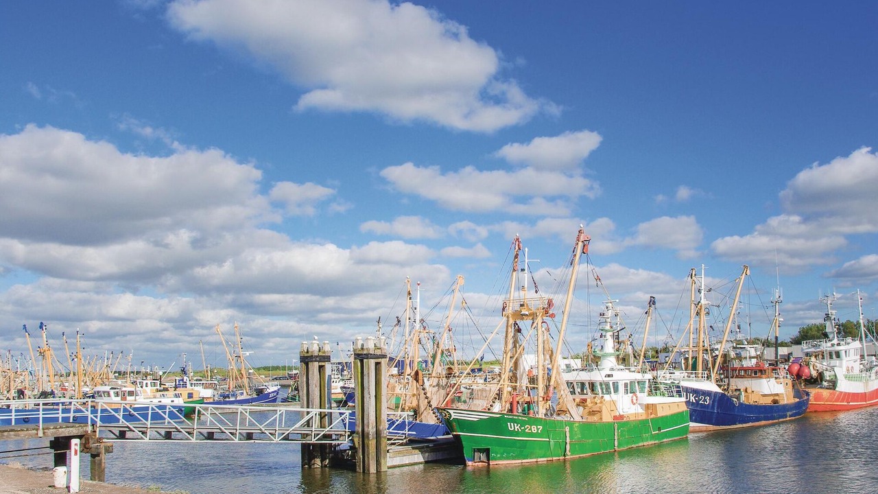 Photo of Others in Lauwersoog