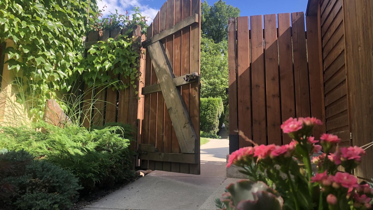 Photo of Outdoor in Nelson