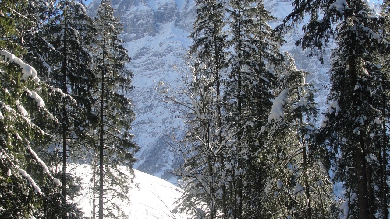 Photo of Others in Grindelwald