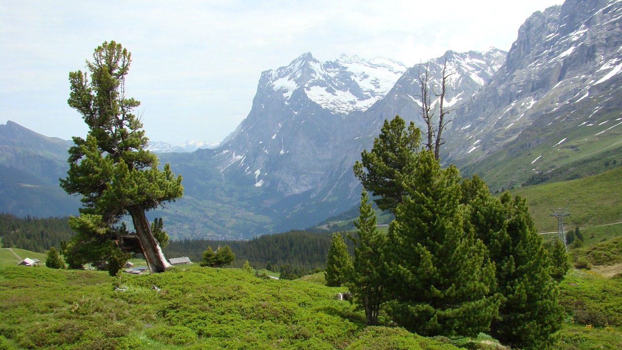 Photo of Outdoor in Grindelwald