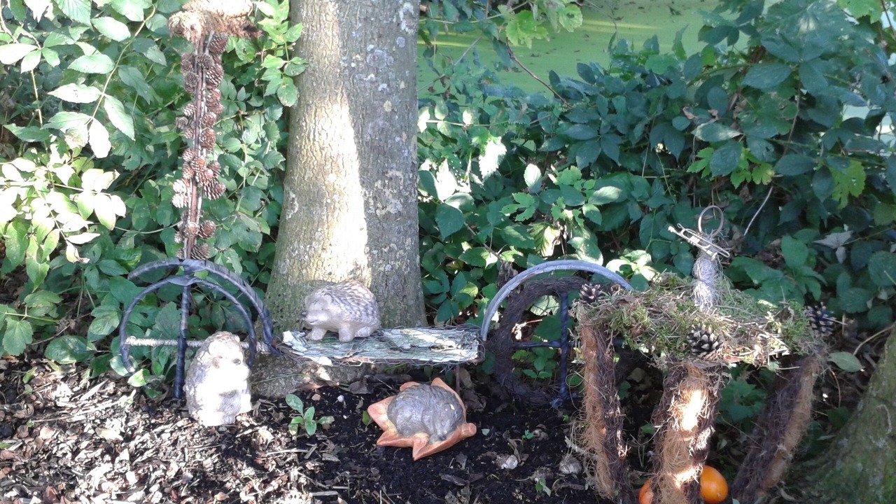 Photo of Outdoor in Zegveld