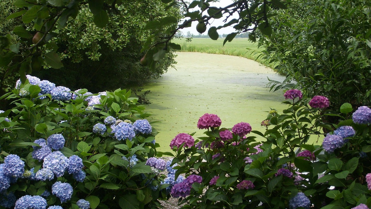 Photo of Outdoor in Zegveld