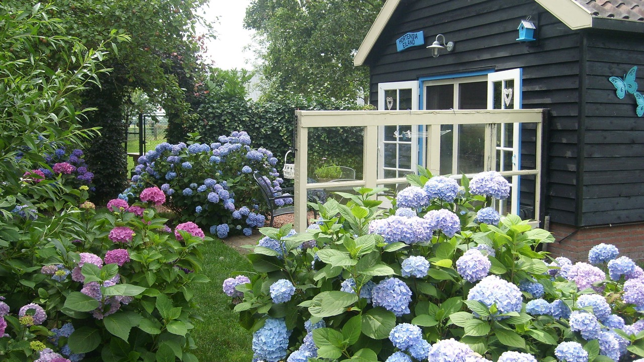 Photo of Outdoor in Zegveld