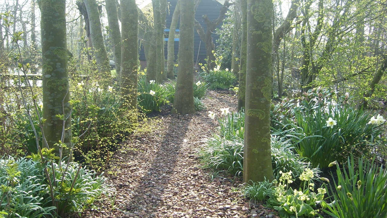 Photo of Outdoor in Zegveld