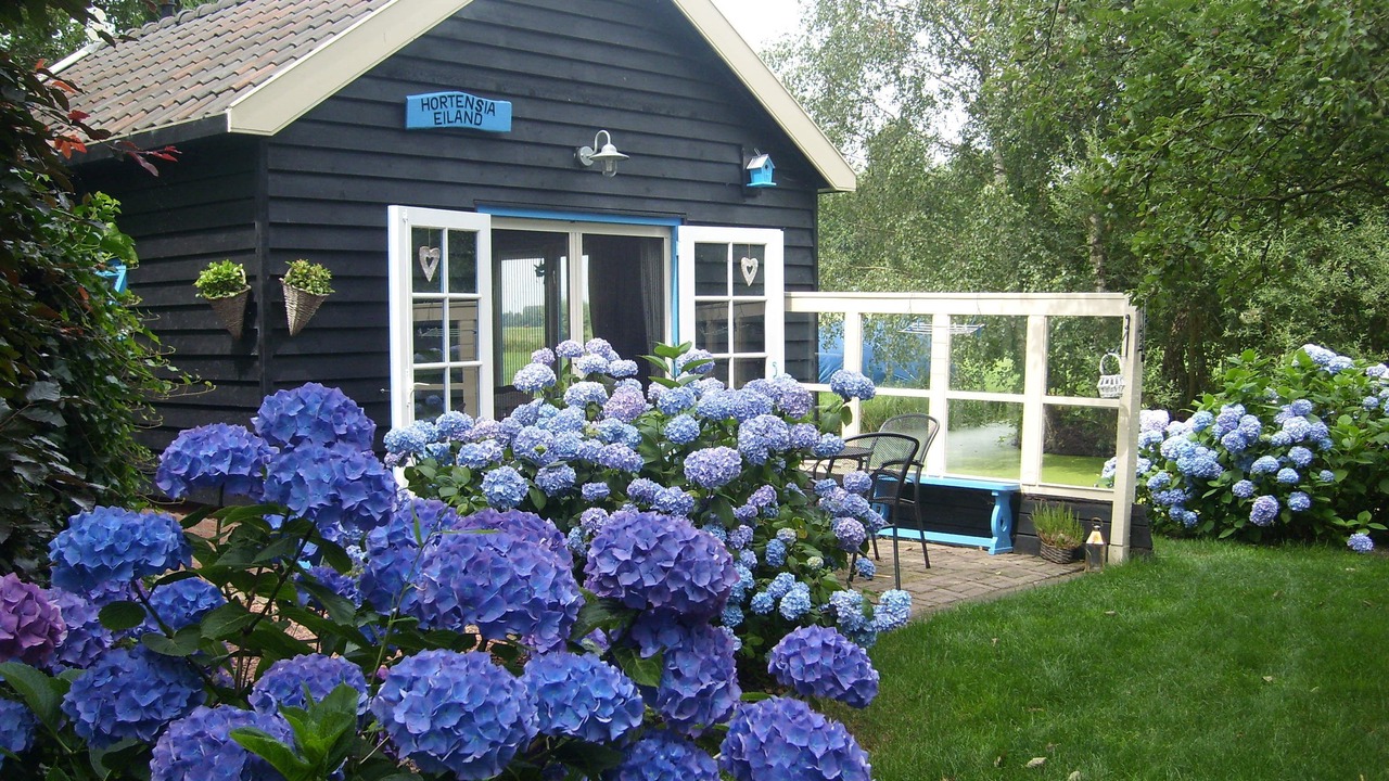 Photo of Patio Balcony in Zegveld