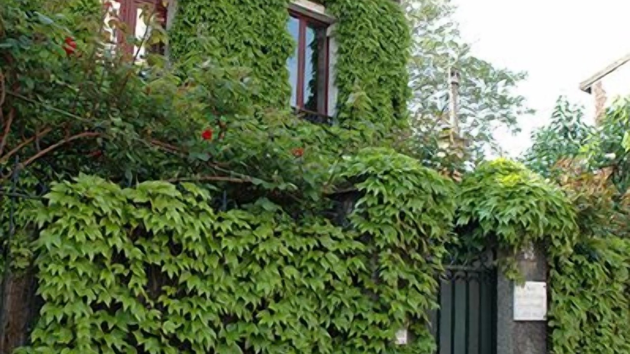 Photo of Outdoor in Malakoff