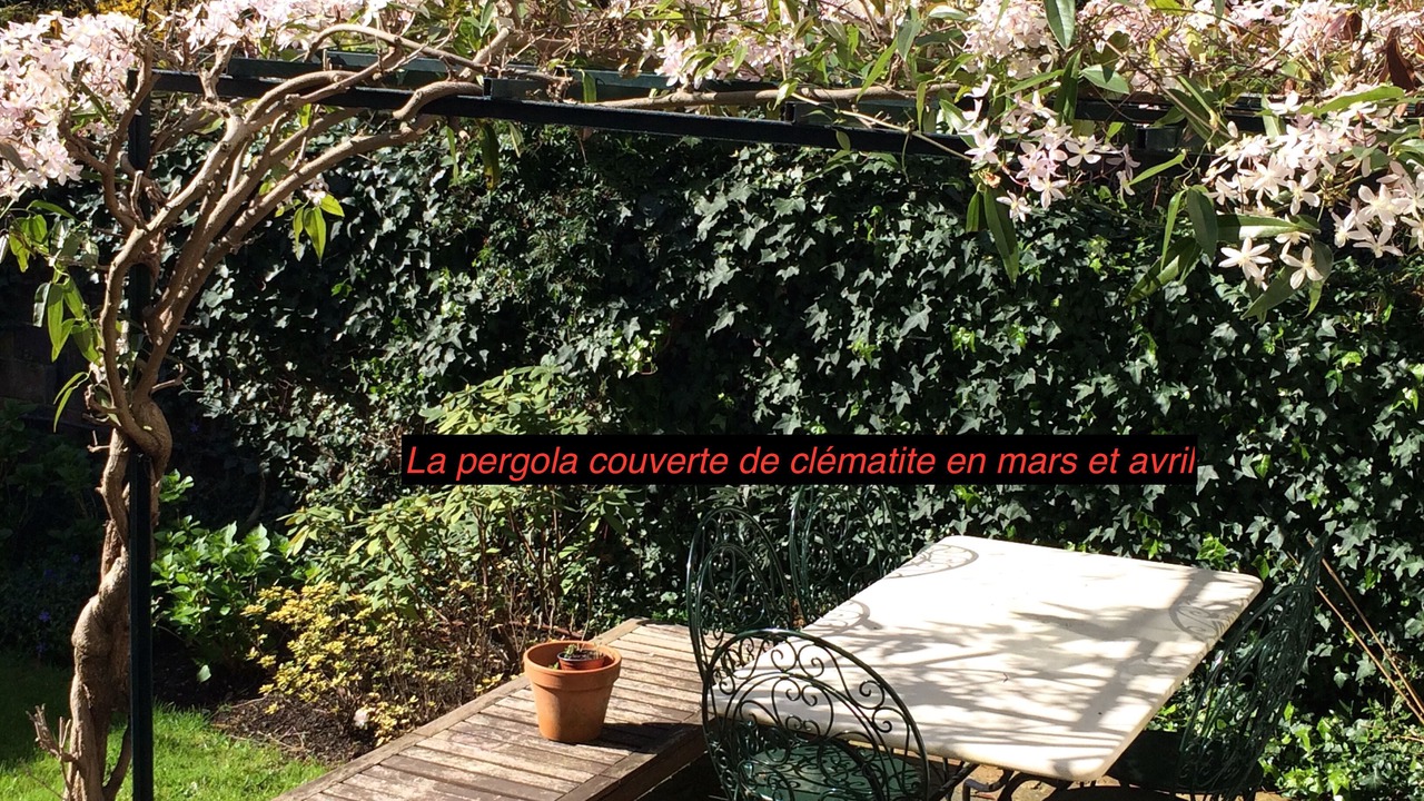 Photo of Outdoor in Malakoff