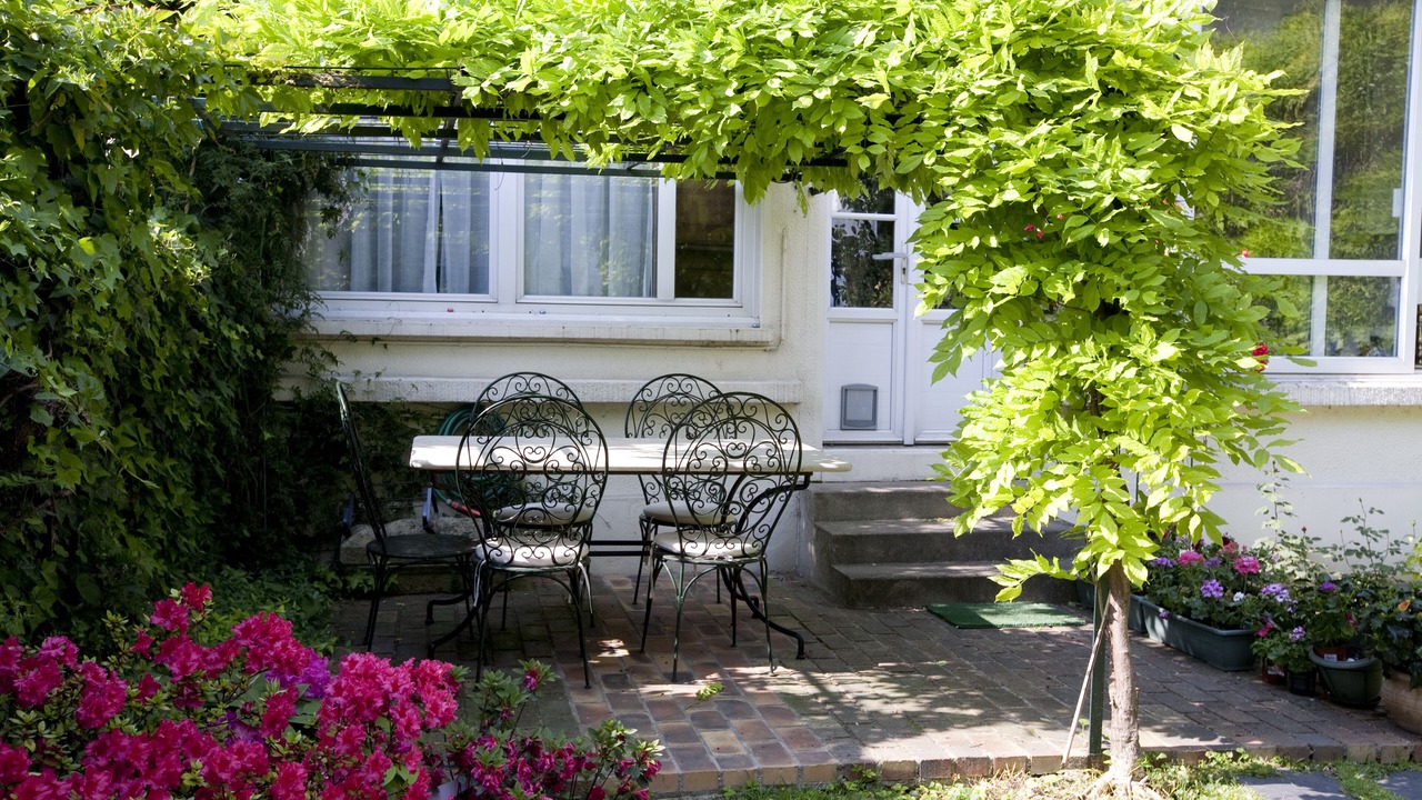Photo of Outdoor in Malakoff