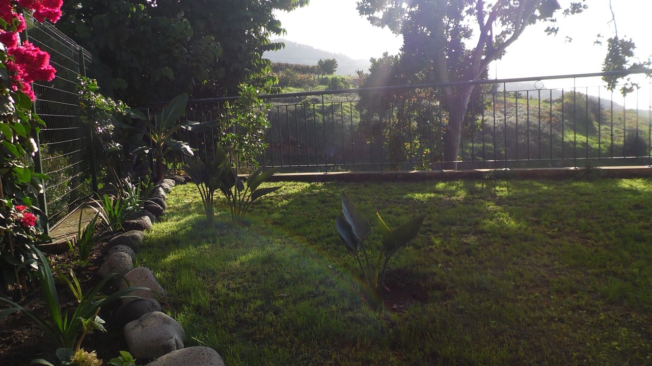 Photo of Outdoor in Estreito da Calheta