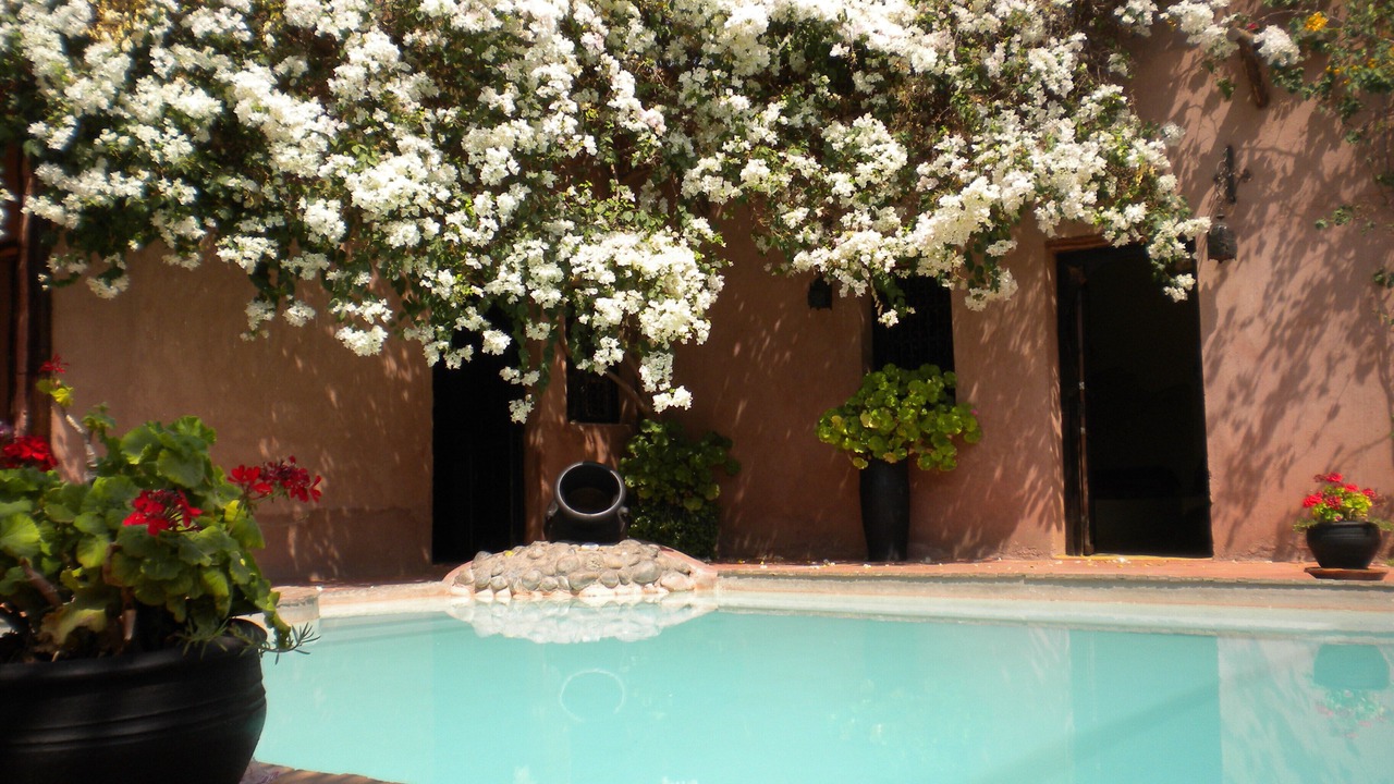 Photo of Outdoor in Marrakech