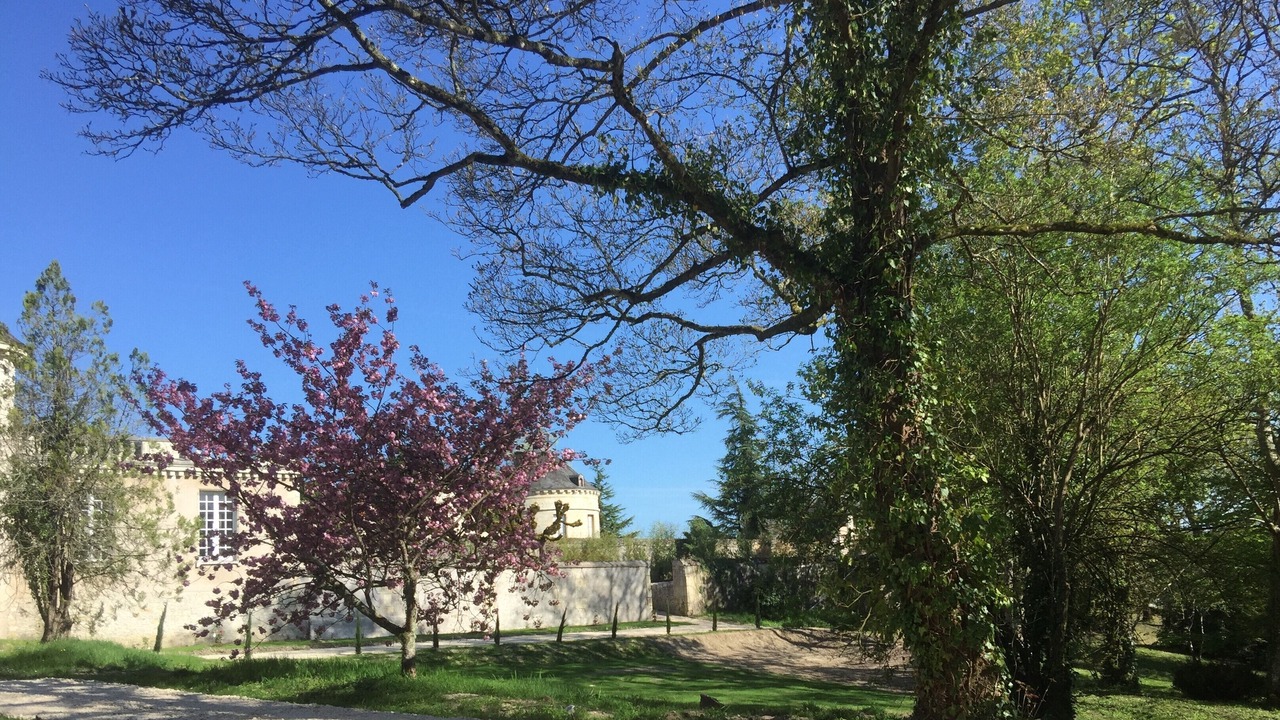 Photo of Outdoor in Azay-le-Rideau