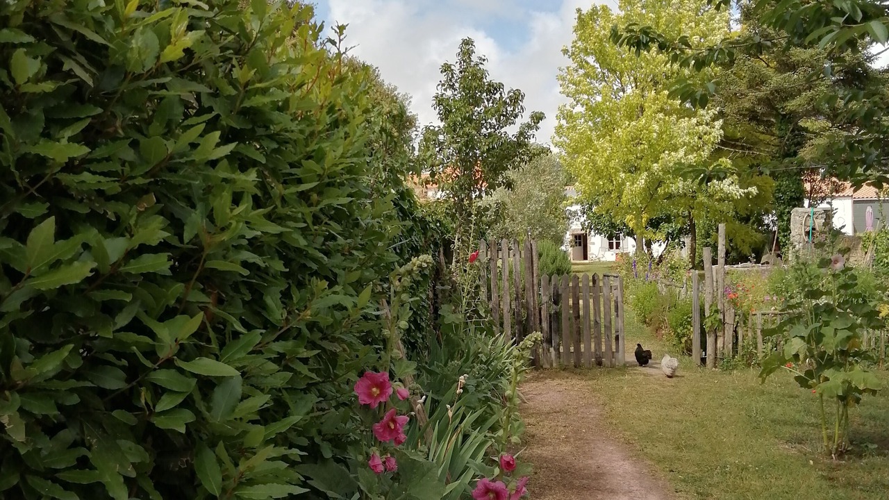 Photo of Outdoor in Bouin
