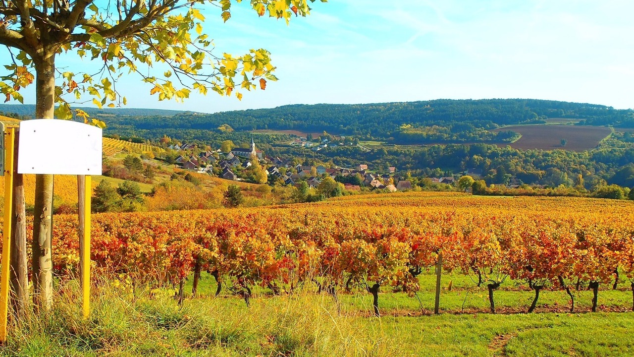 Photo of Outdoor in Ecutigny