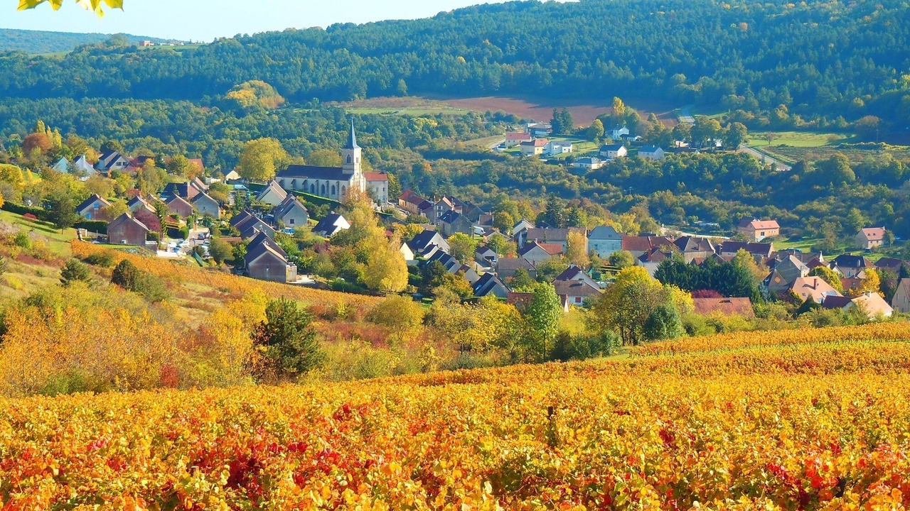 Photo of Outdoor in Ecutigny