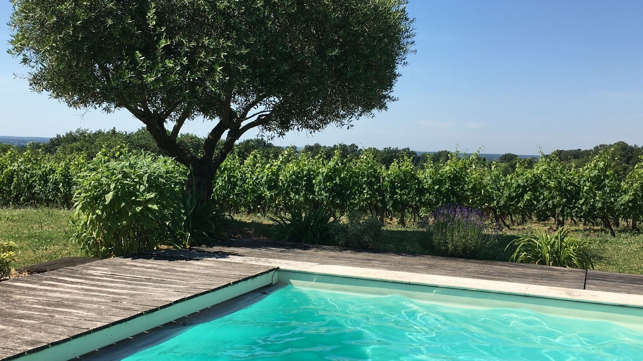 Photo of Outdoor in Cambes