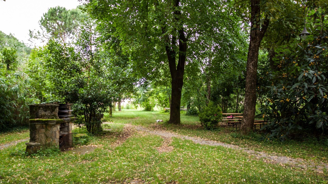Photo of Outdoor in Zandobbio