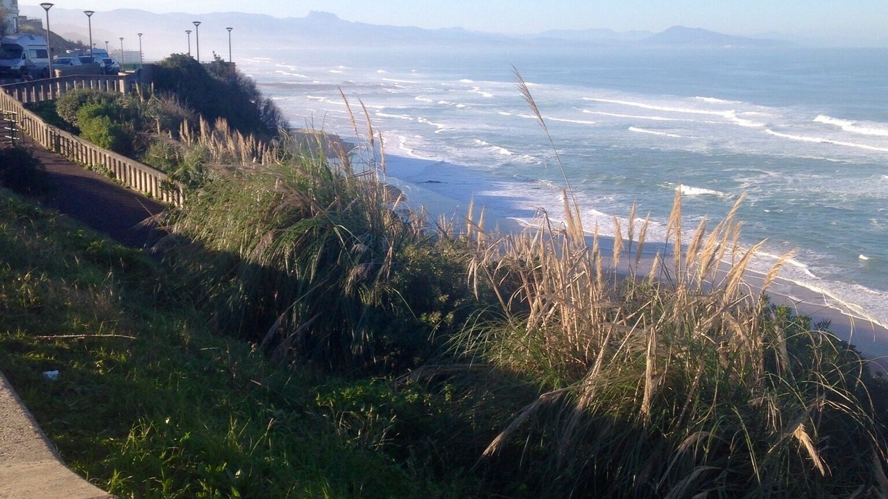 Photo of Others in Biarritz