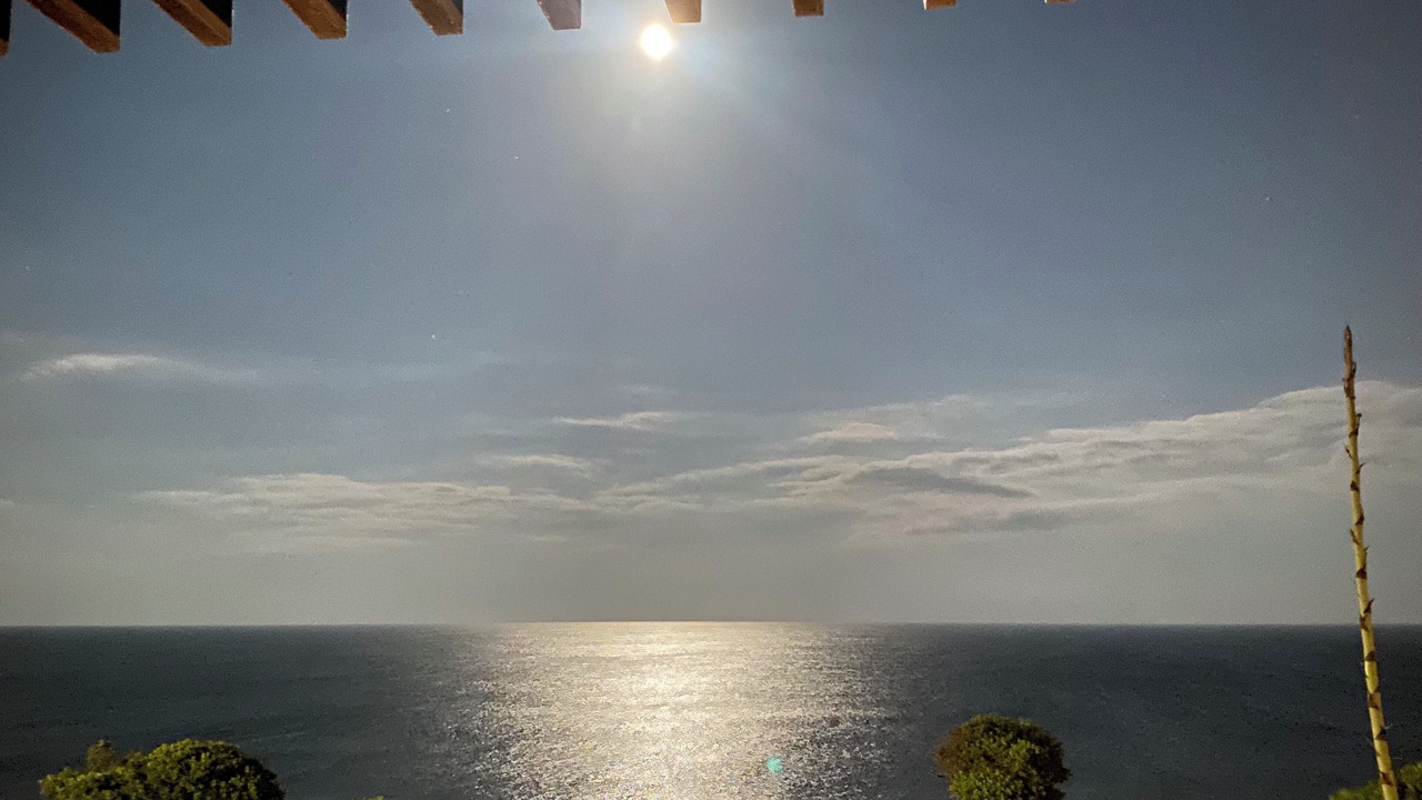 Photo of Others in Praia da Luz