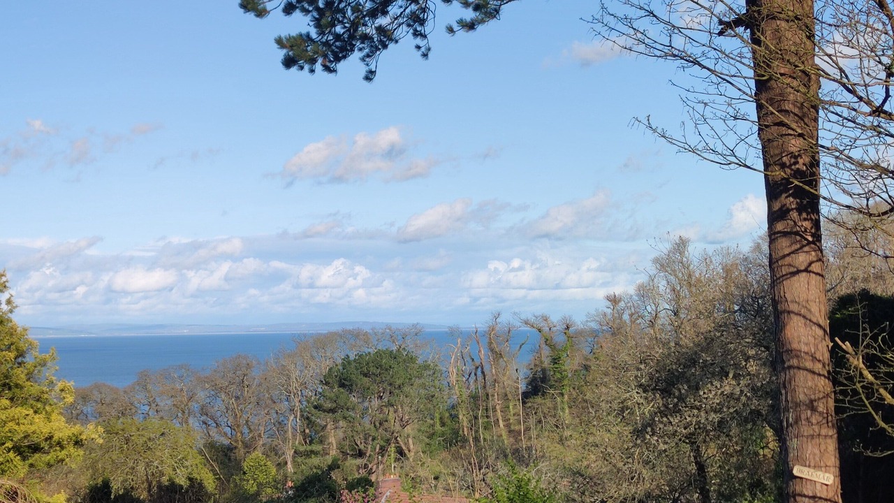Photo of Others in Saundersfoot
