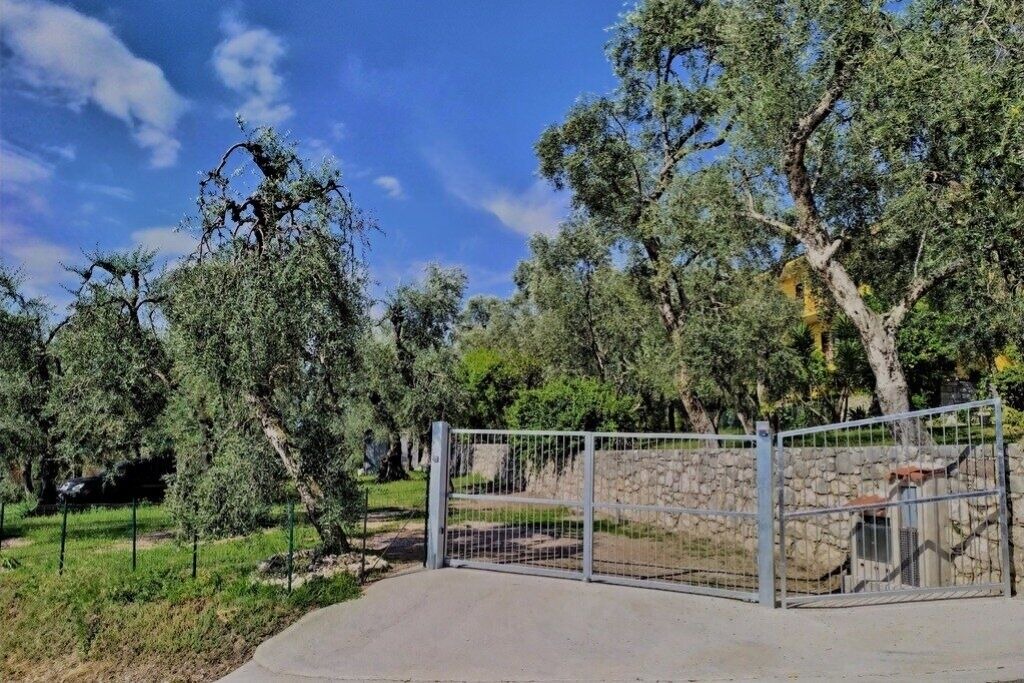 Photo of Others in Assenza