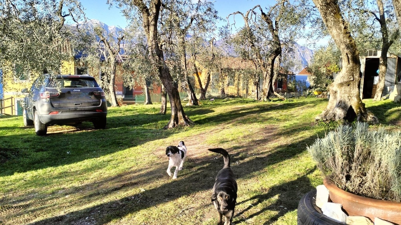 Photo of Outdoor in Assenza
