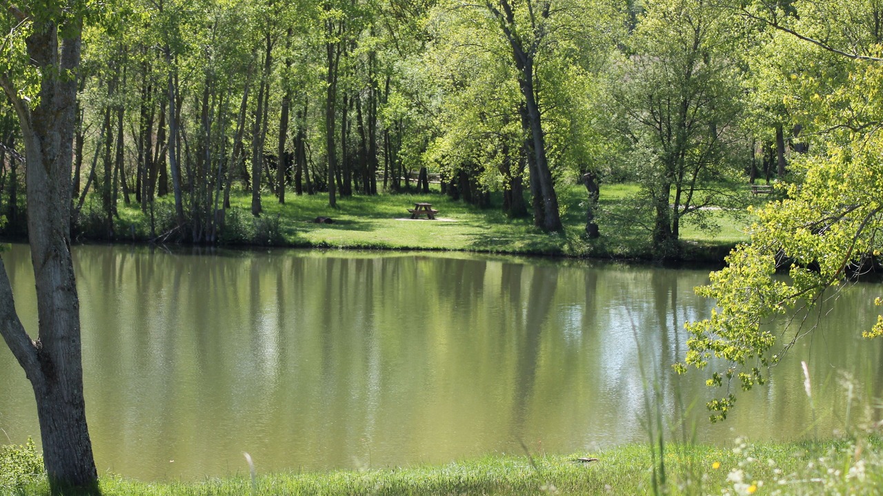 Photo of Others in Escueillens-et-Saint-Just-de-Belengard