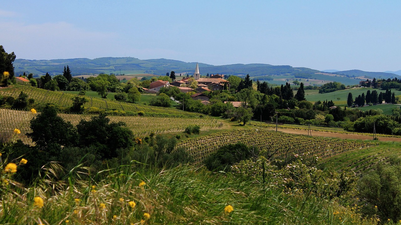 Photo of Others in Escueillens-et-Saint-Just-de-Belengard